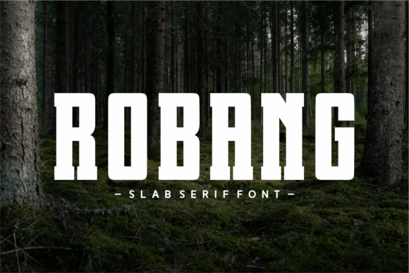 Robang: A Slab Serif Font That Makes Your Campaigns Instantly Clear
