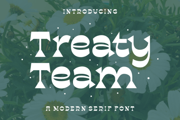 Treaty Team: A Bold Modern Serif Font for Scroll-Stopping Campaigns