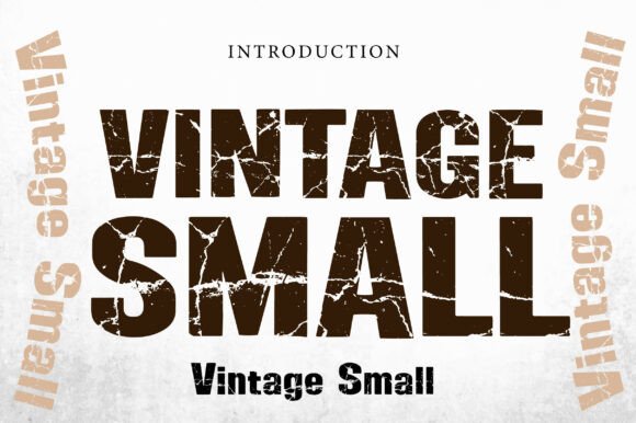 Vintage Small: A Bold Slab Serif for Digital Branding